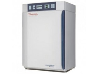 CO2 Инкубатор Thermo 8000 WJ 3429 (184 л, водяная рубашка, ТС-датчик)